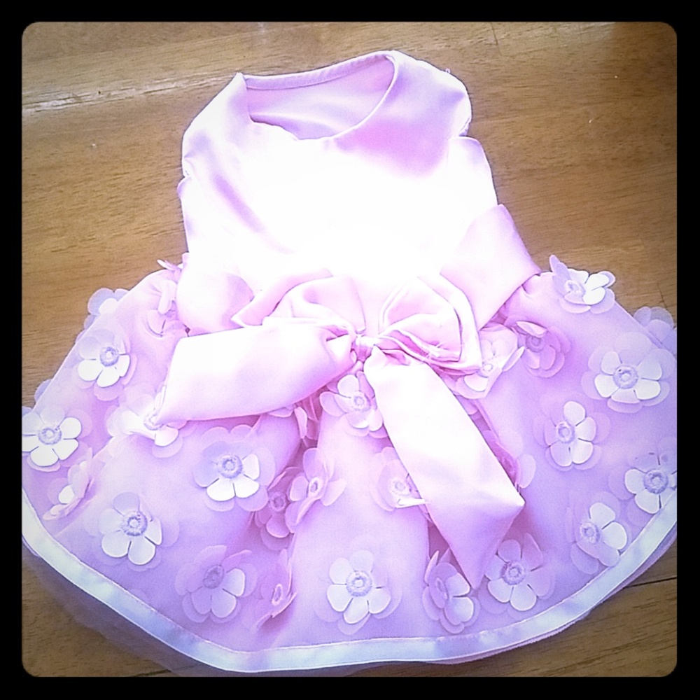 Pink Dog Dress
